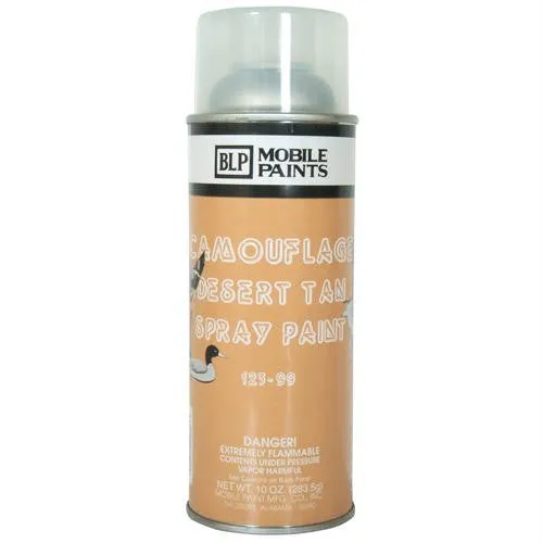 Spray Paint